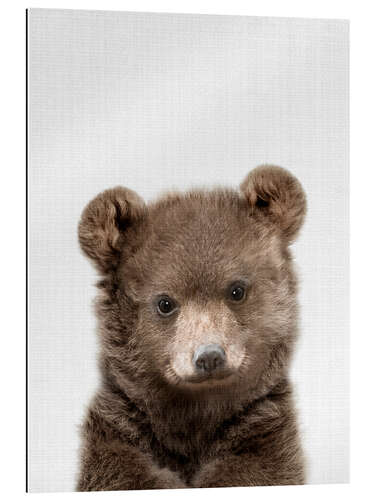 Gallery print Baby Brown Bear