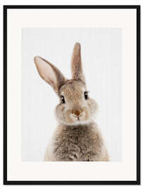 Gerahmter Kunstdruck Hase