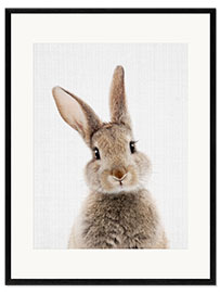 Ingelijste kunstdruk Bunny