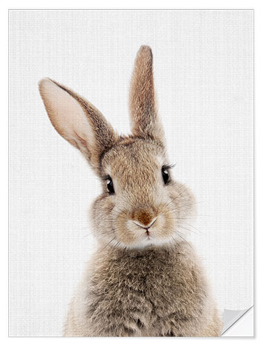 Selvklebende plakat Bunny