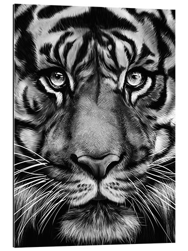 Gallery Print Grauer Tiger