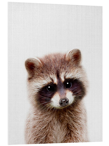 Stampa su PVC Baby Racoon