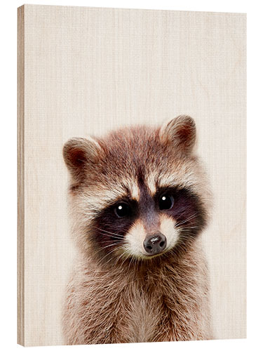 Wood print Baby Racoon