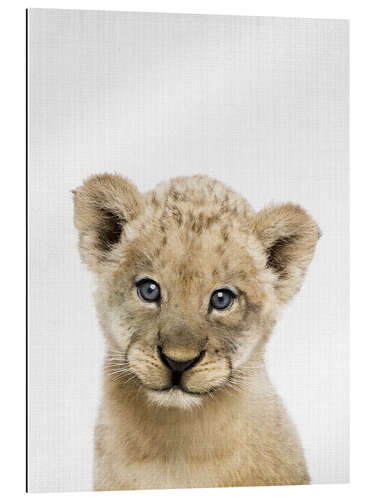 Galleritryck Baby Lion