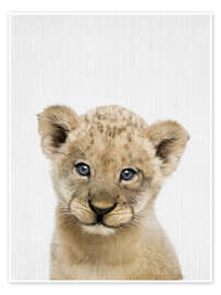 Poster Baby Lion