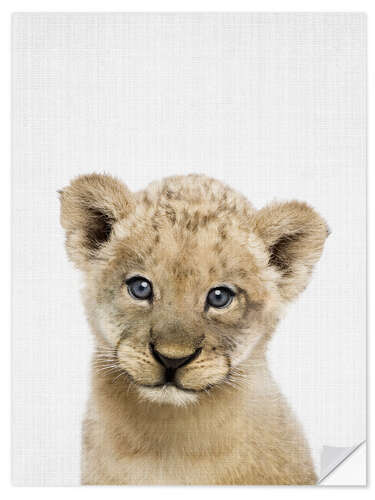 Selvklebende plakat Baby Lion