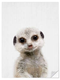 Wall sticker Baby Meerkat