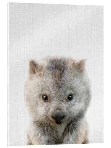 Galleritryk Baby Wombat