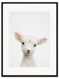 Gerahmter Kunstdruck Süßes Lamm