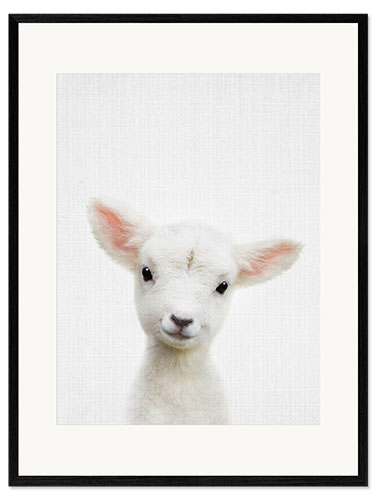 Innrammet kunsttrykk Süßes Lamm