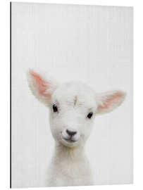 Magnettafel Süßes Lamm