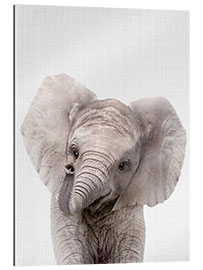 Gallery print Baby Elephant