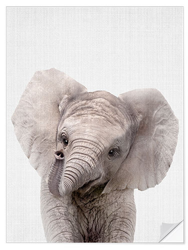 Wandsticker Baby Elefant