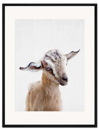 Gerahmter Kunstdruck Baby Ziege
