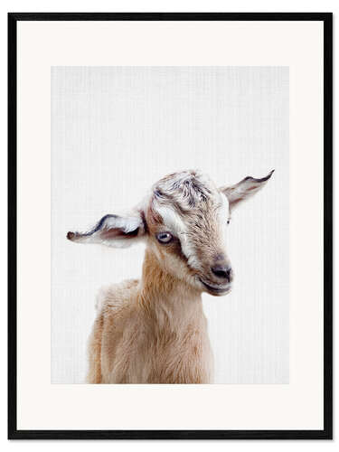 Impression artistique encadrée Baby Goat