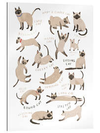 Gallery print All Sorts of Siamese Cats