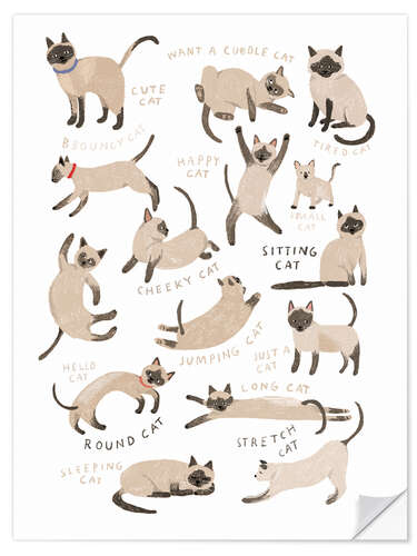 Naklejka na ścianę All Sorts of Siamese Cats