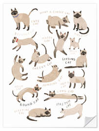 Naklejka na ścianę All Sorts of Siamese Cats