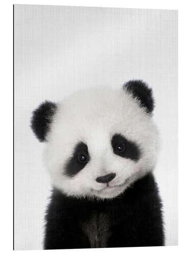 Galleriprint Baby Panda