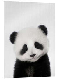 Galleriprint Baby Panda