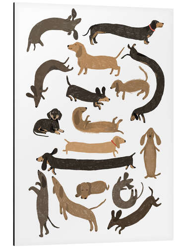 Aluminium print Long and Short Dachshunds