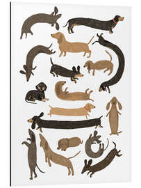 Aluminium print Long and Short Dachshunds - Hanna Melin