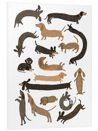 Foam board print Long and Short Dachshunds - Hanna Melin