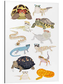 Magnettafel Reptilien mit Brille