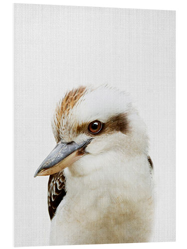 Hartschaumbild Kookaburra