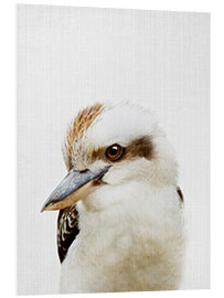 Stampa su PVC Kookaburra