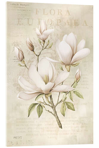 Cuadro de metacrilato Magnolia Spring Romance III