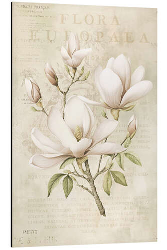 Alubild Magnolien-Frühlingsromanze III