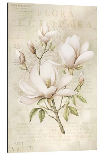 Gallery print Magnolia Spring Romance III