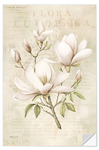 Wall sticker Magnolia Spring Romance III