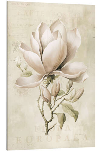 Alubild Magnolien-Frühlingsromanze II