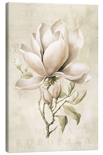 Leinwandbild Magnolien-Frühlingsromanze II