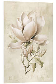 Quadro em PVC Magnolia Spring Romance II