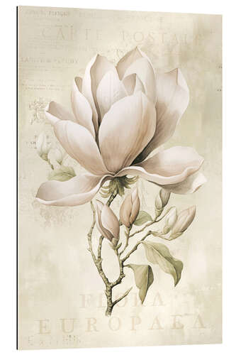 Gallery print Magnolia Spring Romance II