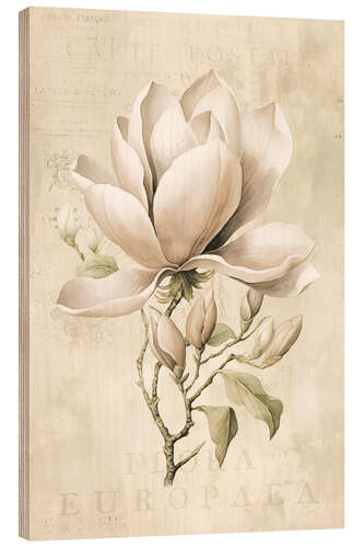 Hout print Magnolia Spring Romance II