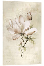 Acrylglasbild  Magnolien-Frühlingsromantik I - Andrea Haase