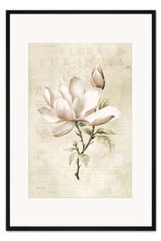 Gerahmter Kunstdruck Magnolien-Frühlingsromantik I