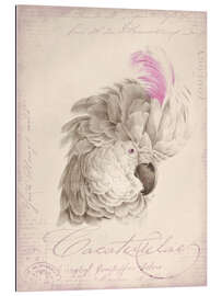 Gallery print Cockatoo with Pink Headdress