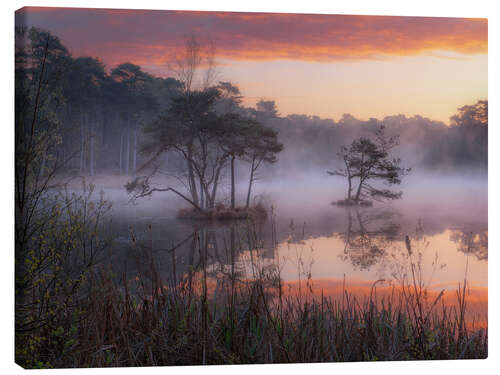 Canvas print Sunrise at the Oisterwijkse Vennen