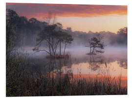 Print på skumplade Sunrise at the Oisterwijkse Vennen