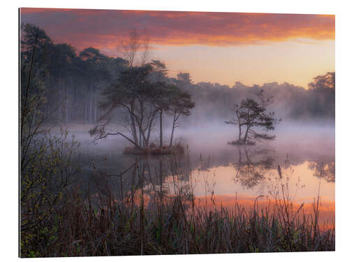 Tableau en plexi-alu Sunrise at the Oisterwijkse Vennen