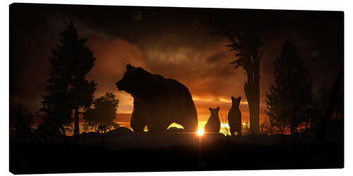 Stampa su tela Bear Family at Dusk