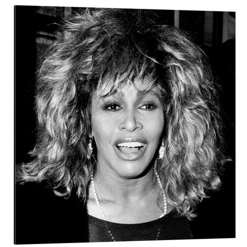 Cuadro de aluminio Tina Turner, 1986