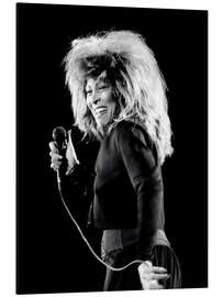 Cuadro de aluminio Tina Turner, Zurich, 1987