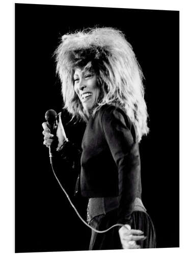 PVC-tavla Tina Turner, Zurich, 1987