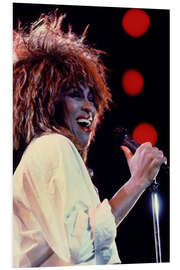 Foam board print Tina Turner in Concert II